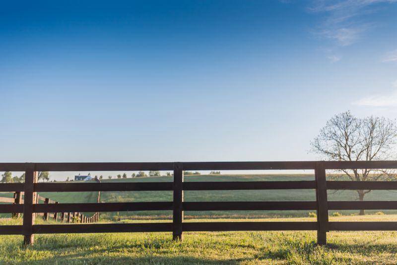 Redwood Fence Installation in Pearland, TX